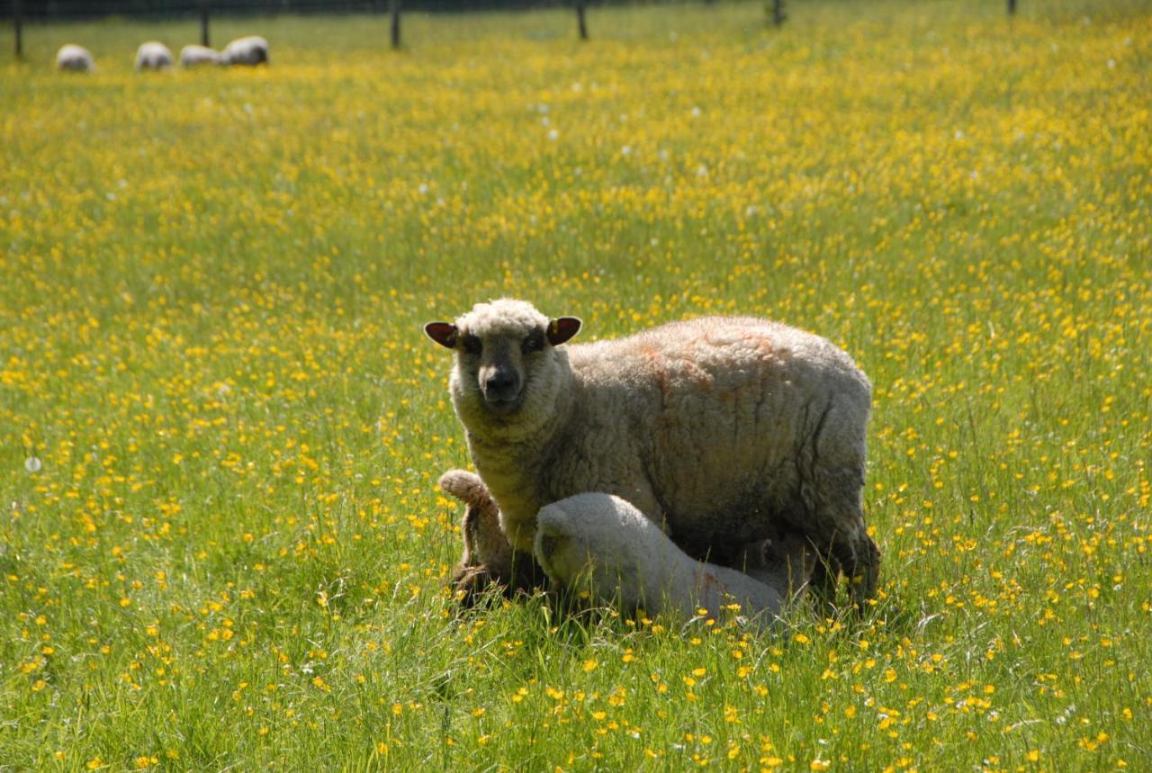 Banbury Hill Farm Bed & Breakfast Charlbury Bagian luar foto